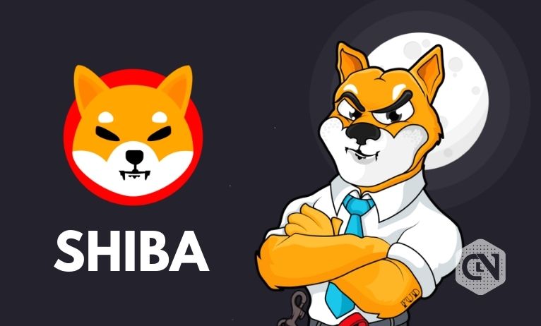 Shiba Inu Price Prediction