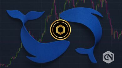 Top 3 coins crypto whales are buying Should you jump in, too