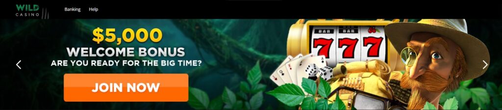 Wild Casino Welcome Bonus